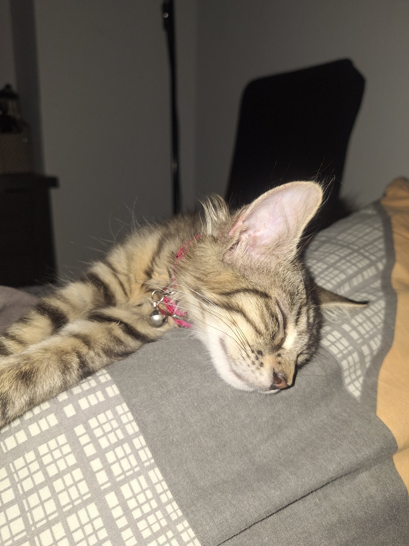 Mila