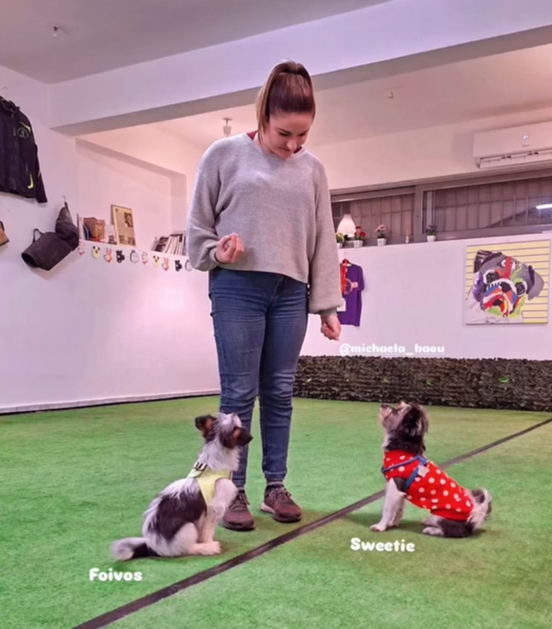 HAPPY TAILS