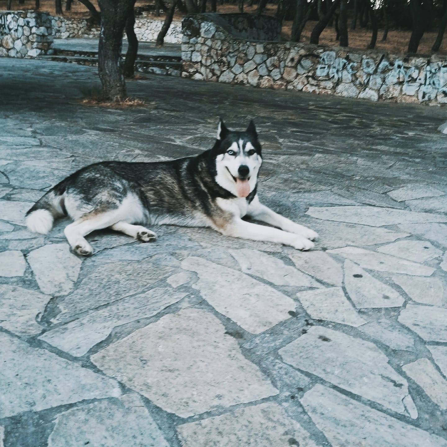 Κίρα